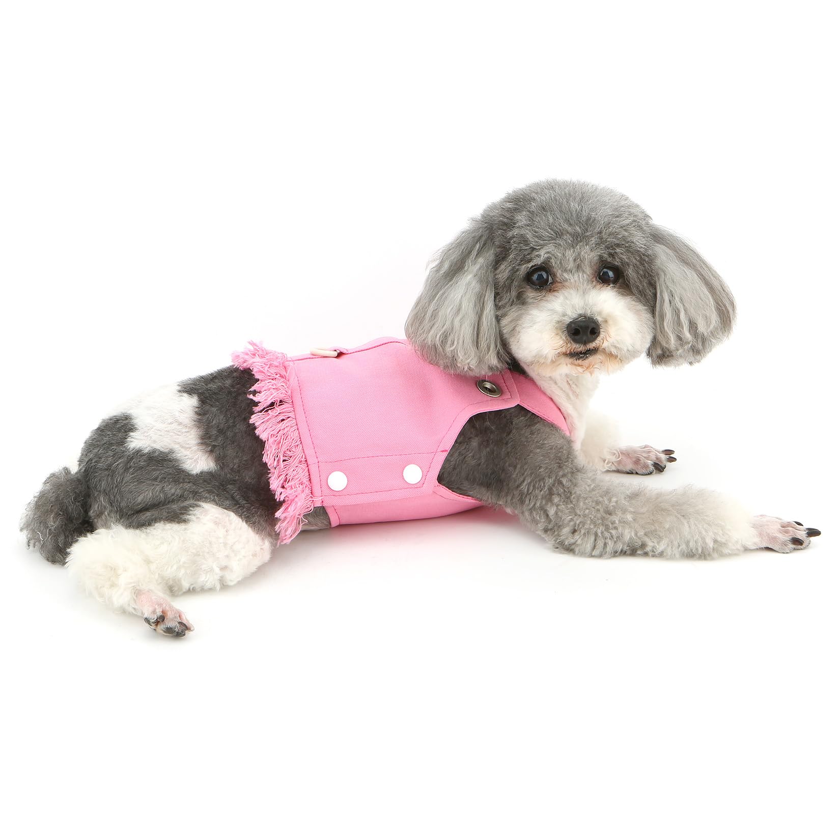 Amazon.co.jp: 犬用ハーネス 犬服 デニムベスト 春 夏 柔らか おしゃれ